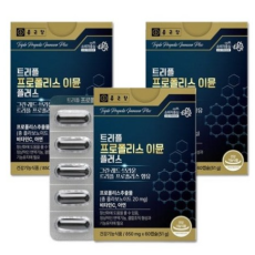 종근당 트리플 프로폴리스 이뮨 플러스 850mg x 60캡슐